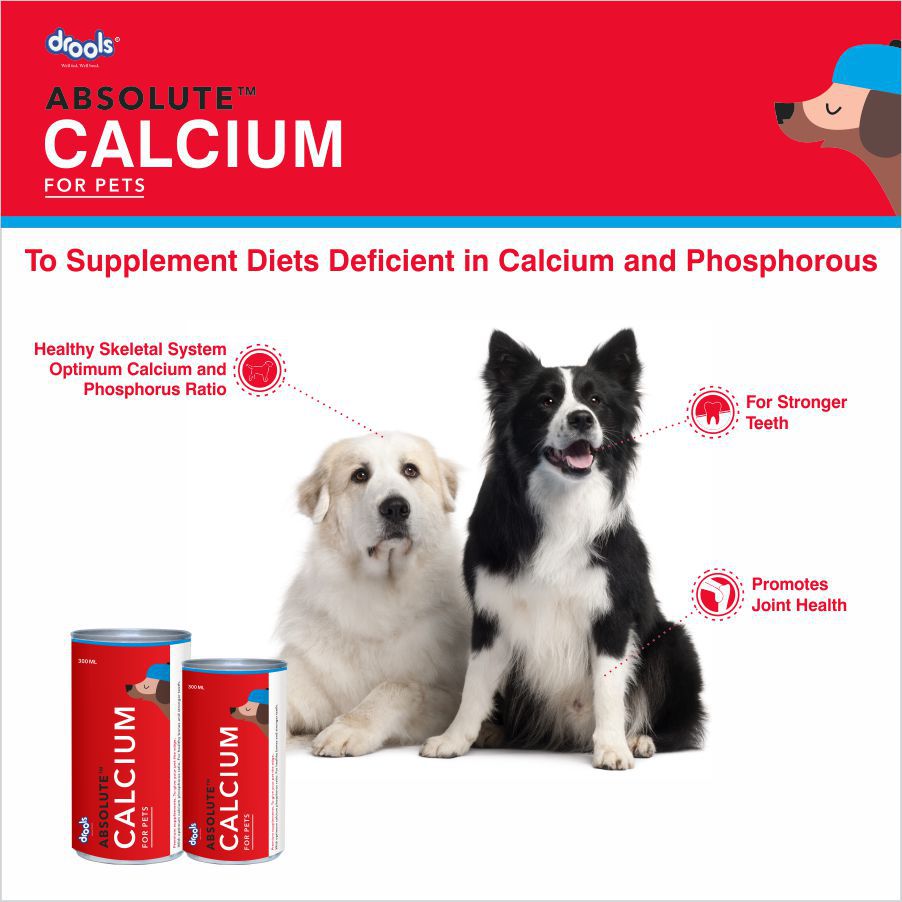 Drools Calcium supplement Dog