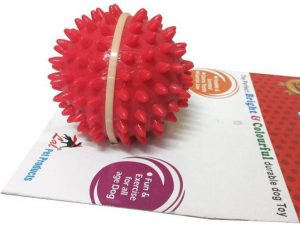 Super Dog Spike Ball and rope