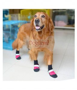 Waterproof-Dog-Boots-1